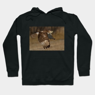 Red-tailed Hawk in Flight Hoodie